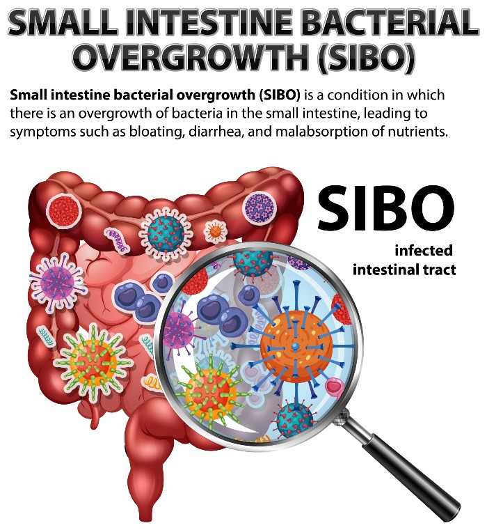 sibo